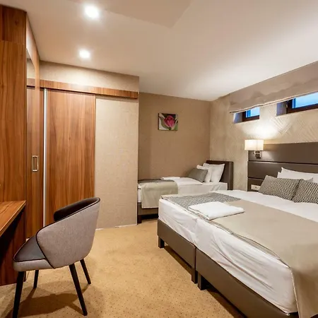 Doresz Wellness Panzio 住宿加早餐酒店 4*